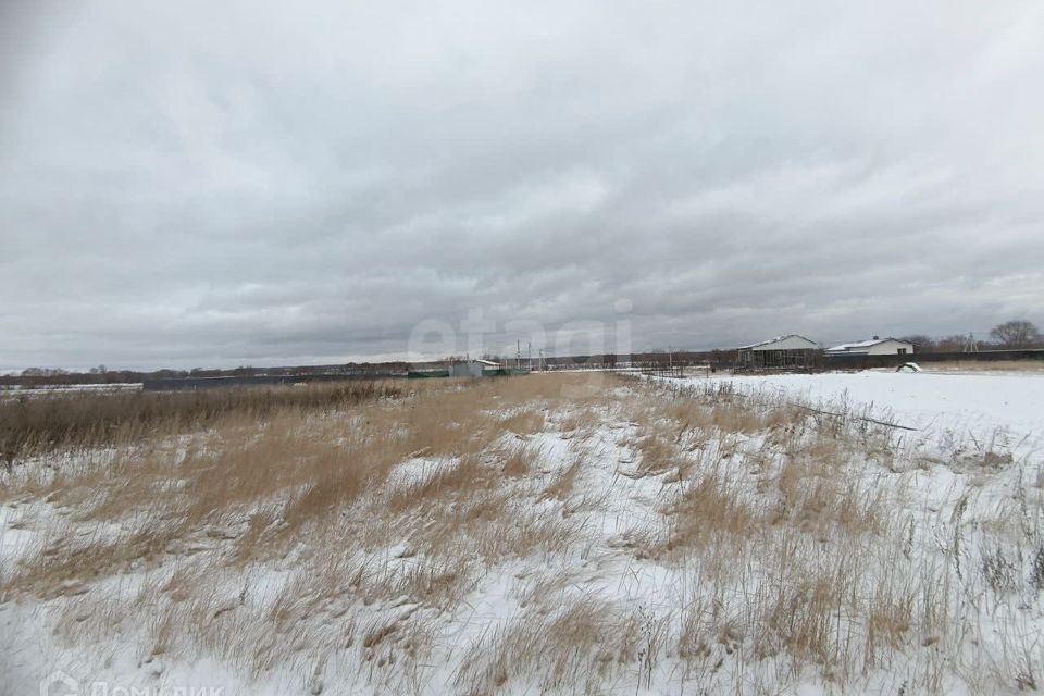 земля городской округ Коломенский с Пирочи ул Окская Коломна городской округ фото 3