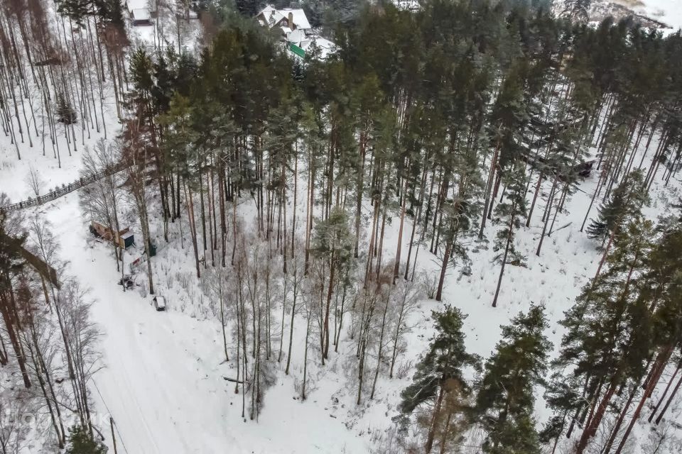 земля р-н Приозерский д. Светлое фото 6