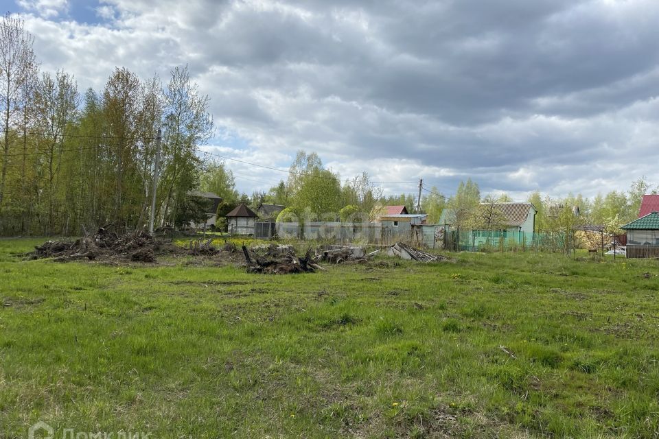 земля городской округ Воскресенск д. Потаповское фото 5