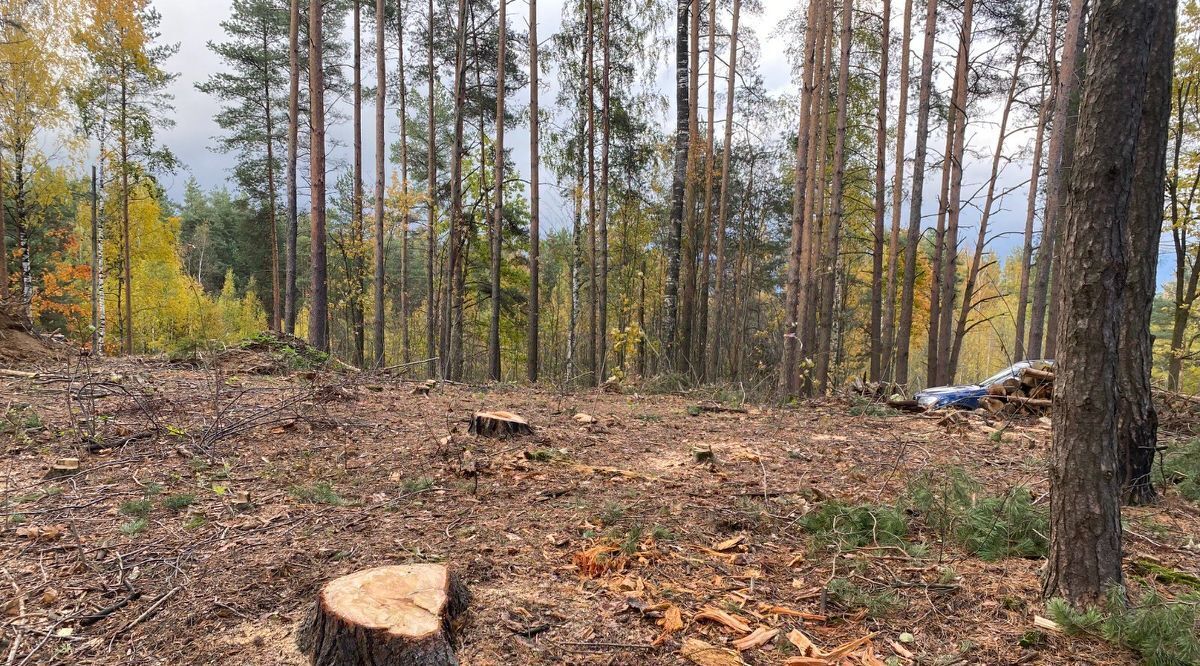 земля р-н Всеволожский д Коркино Колтушское городское поселение, Улица Дыбенко фото 7