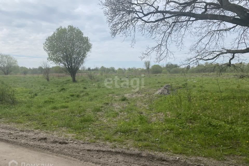 земля р-н Гвардейский п Комсомольск ул Центральная 13 фото 4