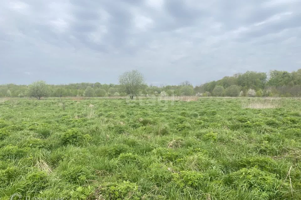 земля р-н Гвардейский п Комсомольск ул Центральная 13 фото 4