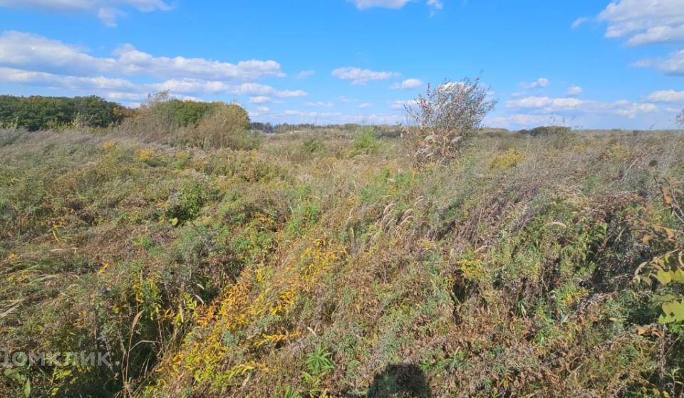 земля Арсеньевский городской округ, Арсеньев фото 2