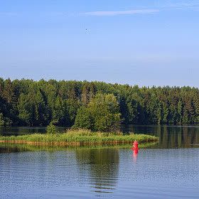 земля р-н Череповецкий СНТ Надежда фото 9