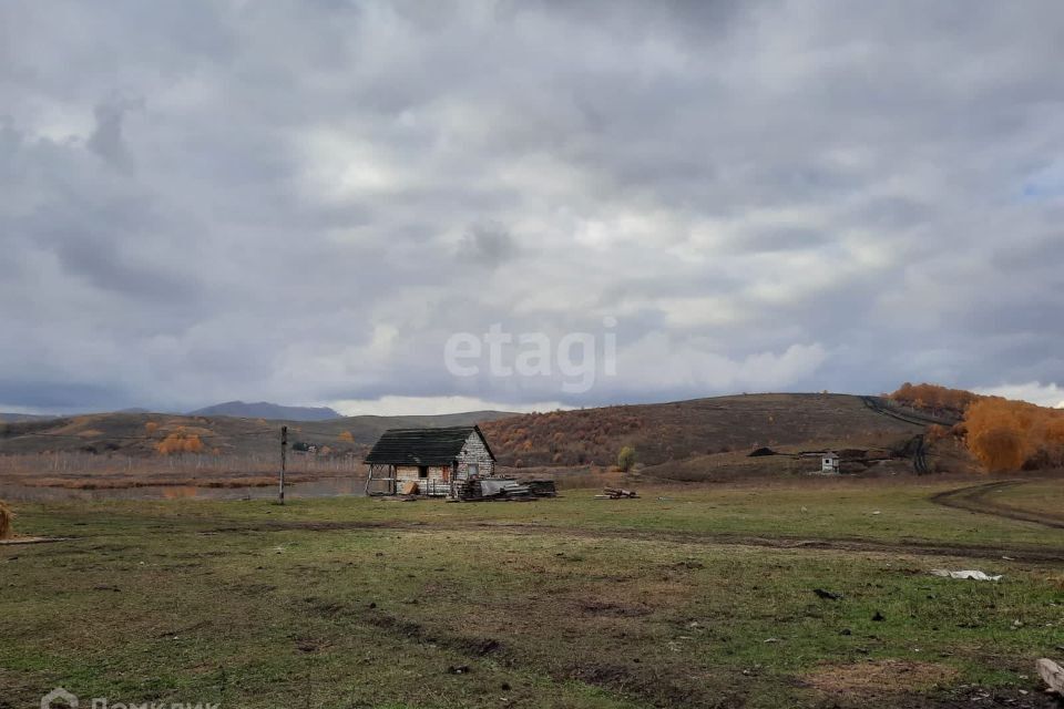 земля р-н Алтайский фото 6