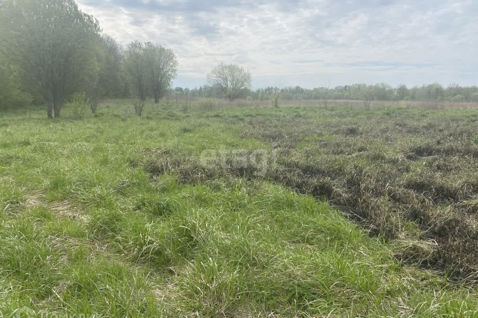 земля р-н Гвардейский п Комсомольск ул Центральная 13 фото 6