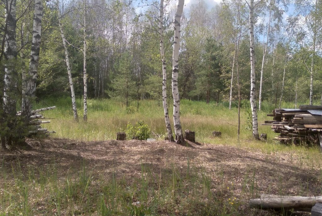 земля городской округ Шатура д Дмитровка фото 3