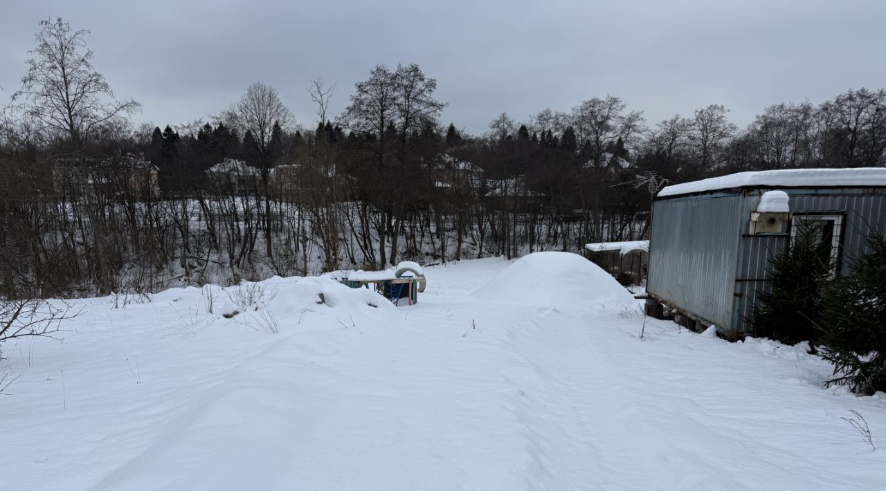 земля городской округ Пушкинский д Митрополье фото 2