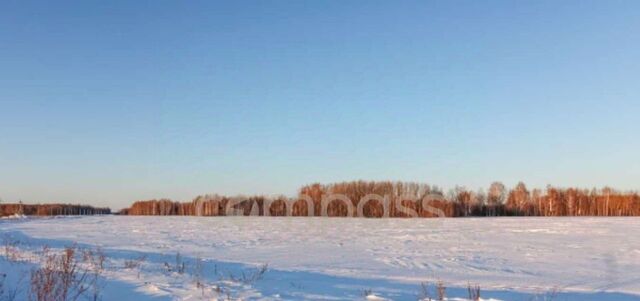 земля с Горьковка ул Сибирская фото