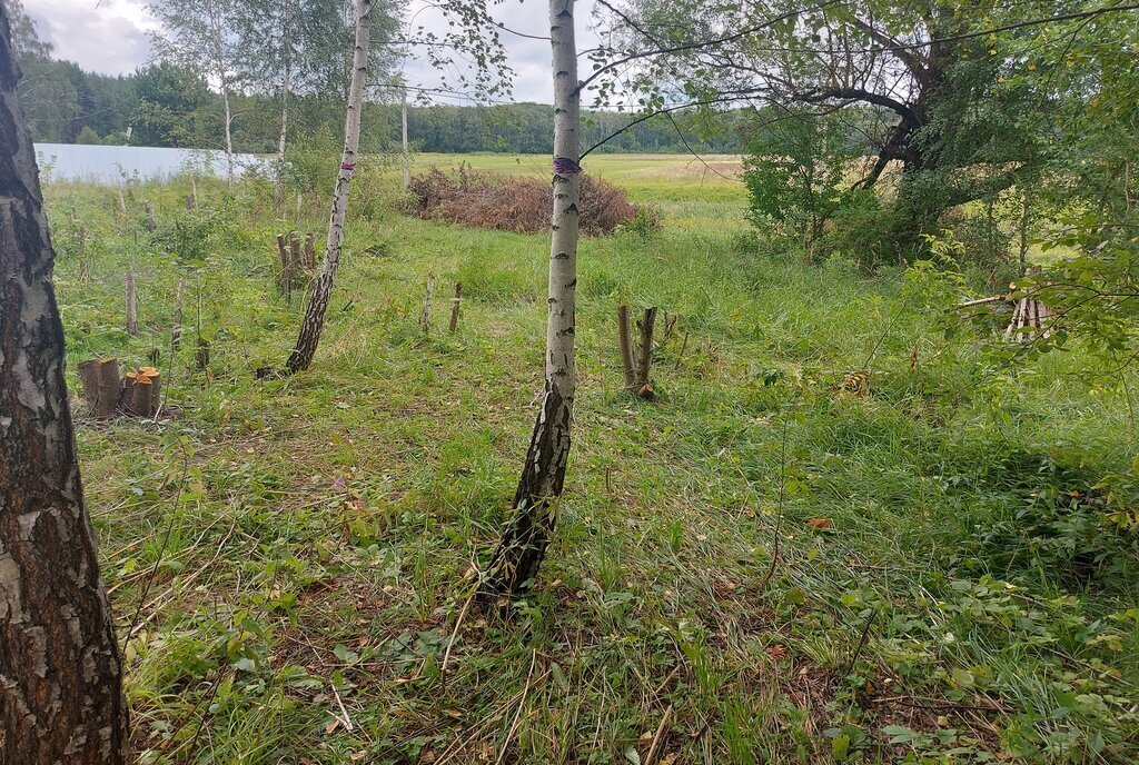 земля городской округ Коломенский д Конев-Бор ул Лесная городской округ Коломна фото 2