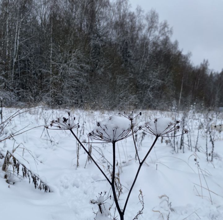 земля г Наро-Фоминск тер Луговое 453, Наро-Фоминский городской округ фото 1