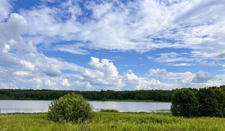 земля г Москва наб Кремлевская Александровский сад фото 13