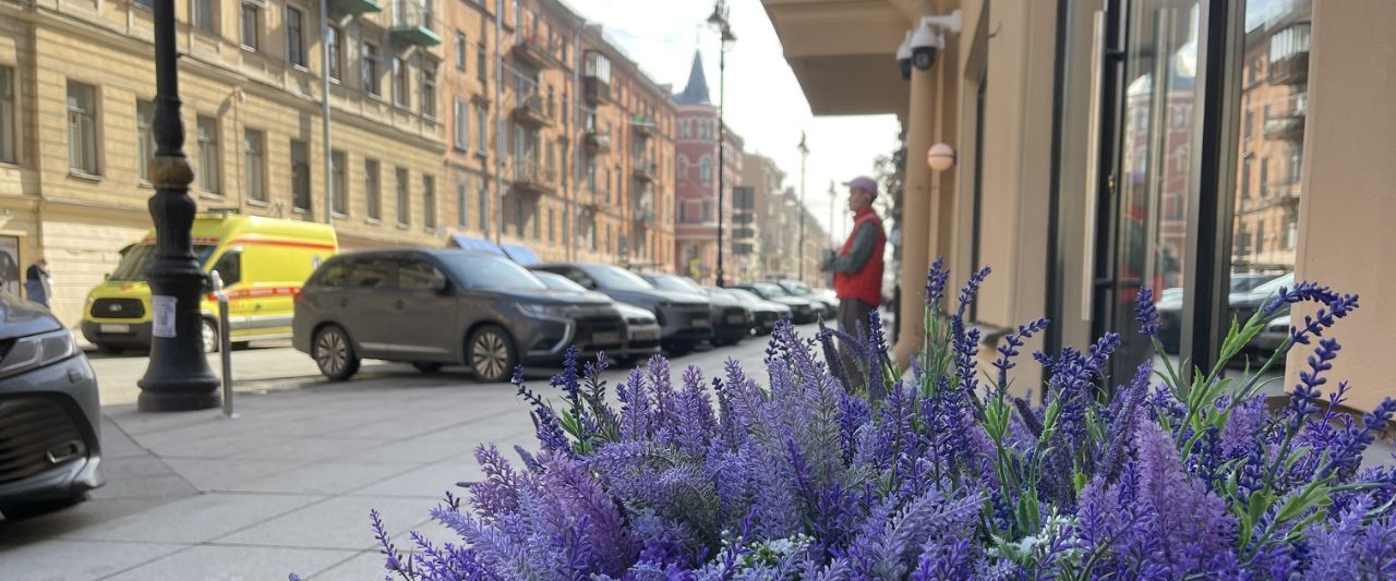 квартира г Санкт-Петербург метро Достоевская ул Рубинштейна 5 Владимирский округ фото 16