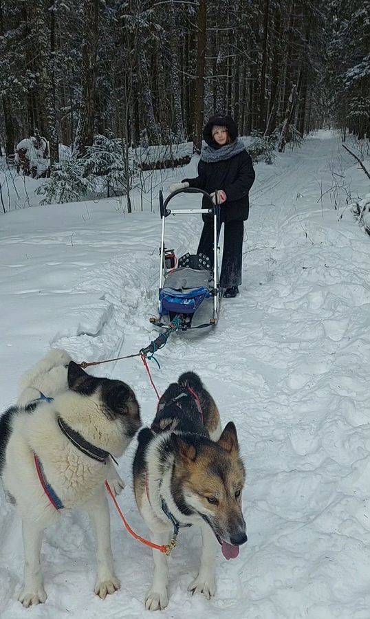 дом городской округ Одинцовский 50 км, садоводческое некоммерческое товарищество Михайловское, 77, Тучково, Можайское шоссе фото 37