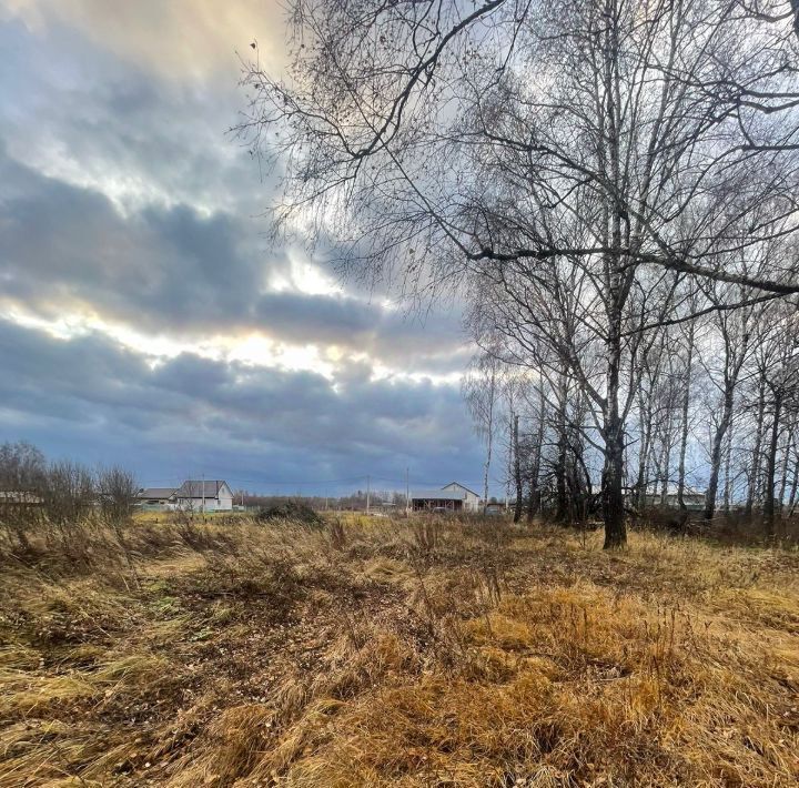 земля городской округ Ступино с Ивановское фото 1