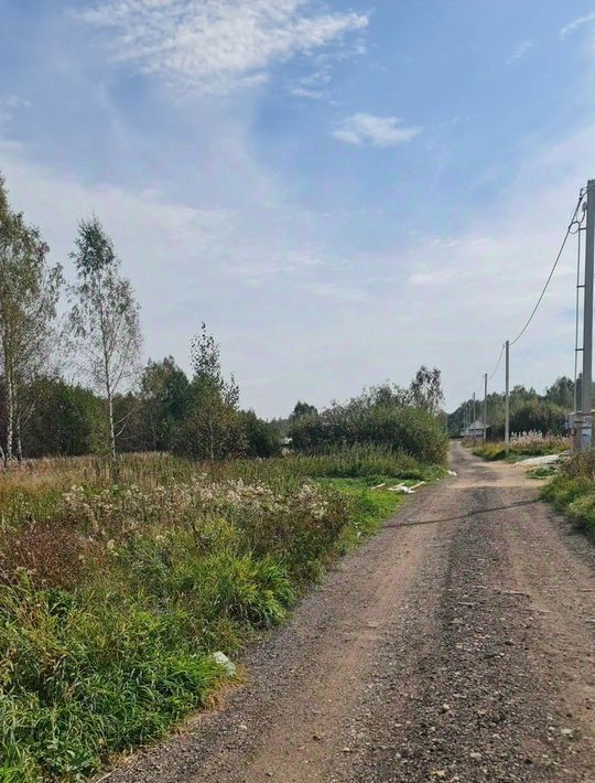 земля городской округ Богородский д Авдотьино 3 массив фото 7