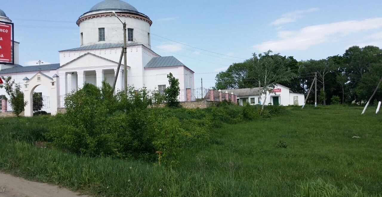 земля р-н Михайловский с Голдино ул Угловая Михайлов фото 12