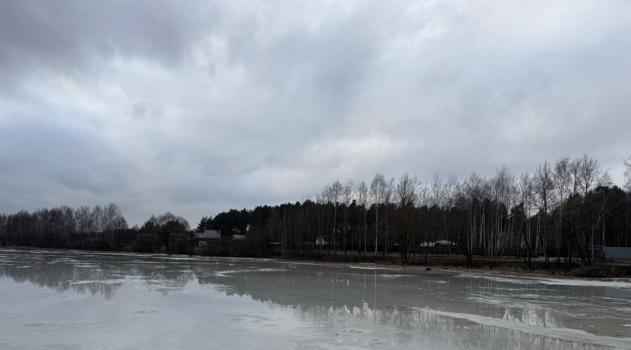 земля г Щёлково снт Южный зона, Удельная, Богородский городской округ фото 2