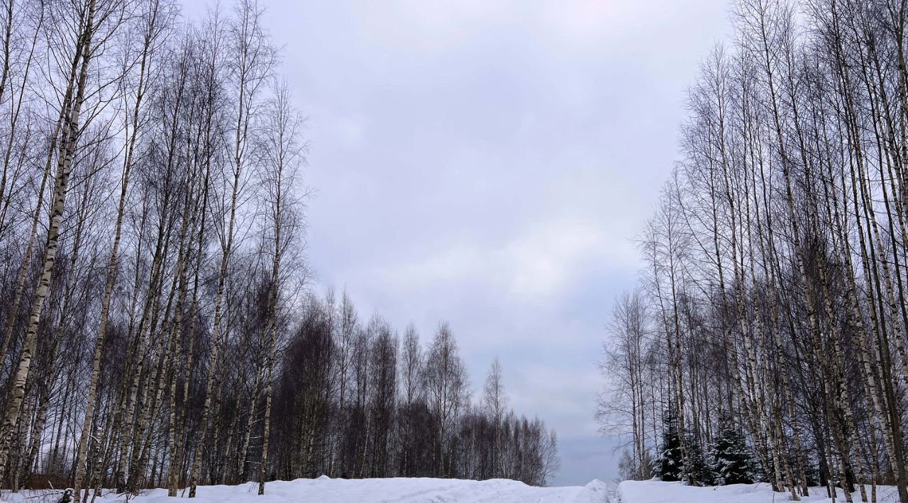 земля городской округ Дмитровский д Сбоево 320 фото 7