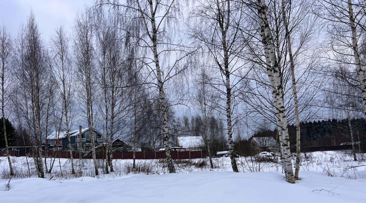 земля городской округ Дмитровский д Сбоево 107 фото 10