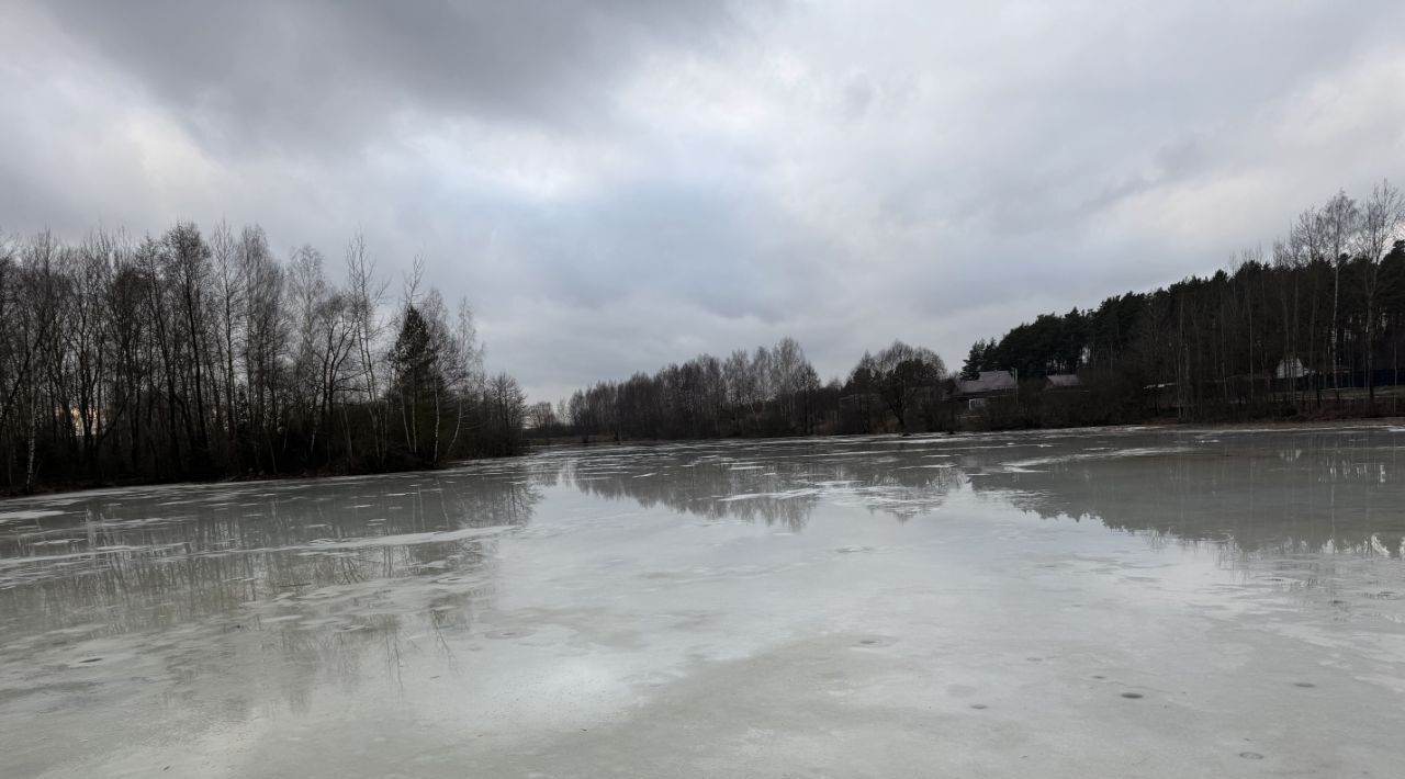 земля г Щёлково снт Южный зона, Удельная, Богородский городской округ фото 10