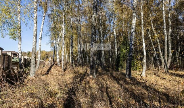 с Быково коттеджный посёлок Шелестово фото