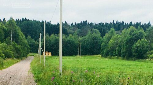 земля п Первомайское пр-д Лесной Красносельское сельское поселение фото