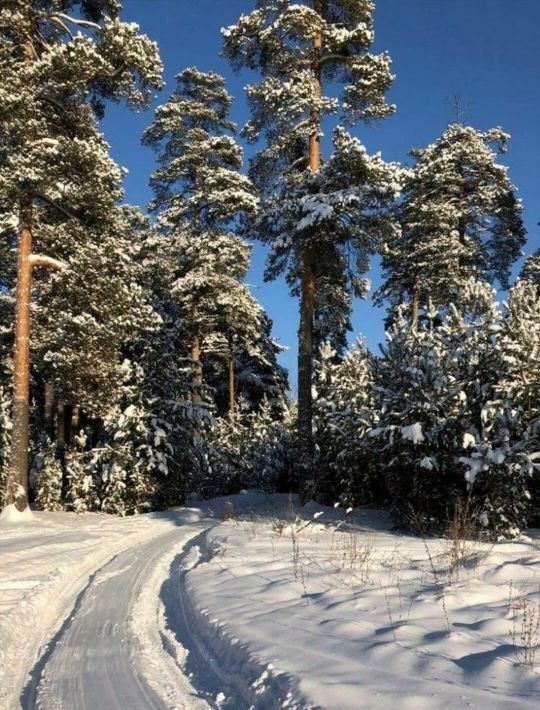 дом городской округ Истра д Глебово фото 13