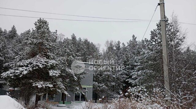 г Екатеринбург Геологическая снт Медная горка фото