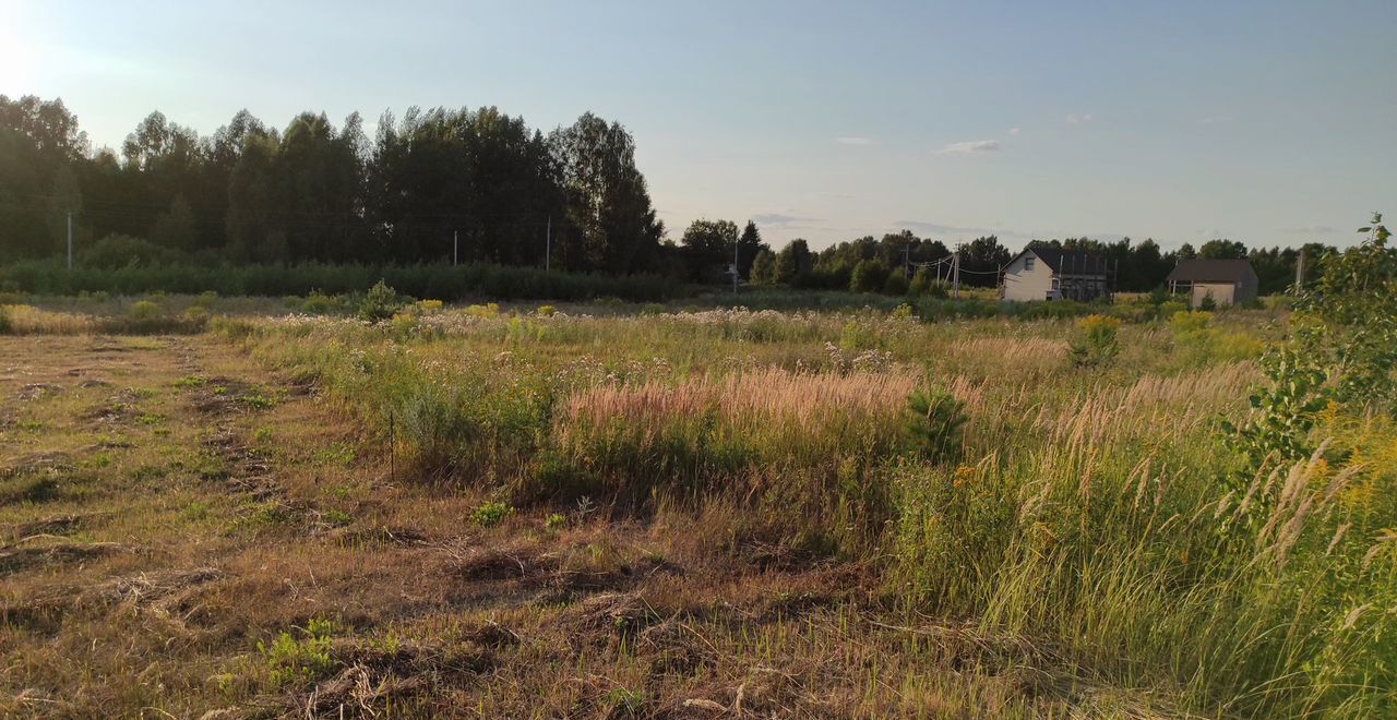 земля р-н Городецкий г Городец д. Архипиха, Центральная ул фото 2