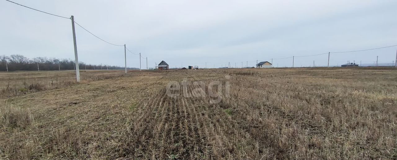 земля р-н Семилукский с Студеновка ул Театральная Губарёвское сельское поселение, Семилуки фото 1