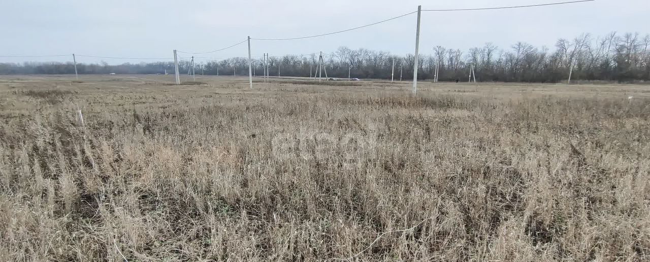 земля р-н Семилукский с Студеновка ул Театральная Губарёвское сельское поселение, Семилуки фото 3