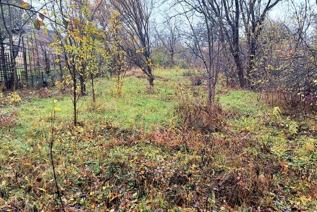 с Заря Армавир городской округ, 262 фото