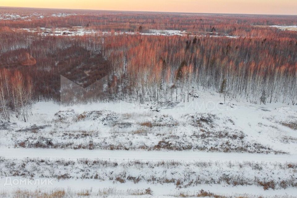 земля р-н Нижнетавдинский фото 5