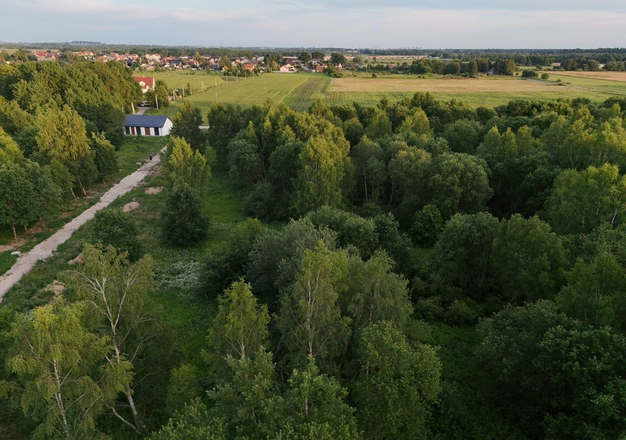 земля р-н Гурьевский п Константиновка ул Центральная Гурьевск фото 6