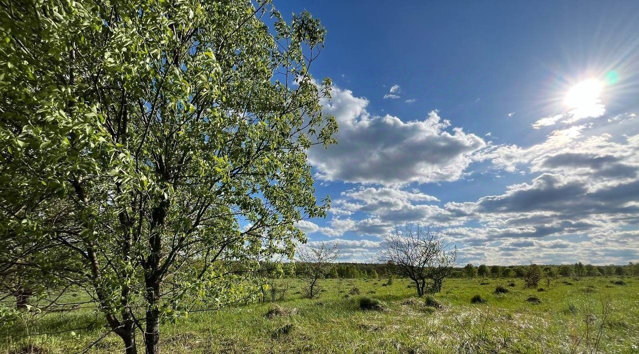 земля городской округ Серпухов д Акулово фото 16