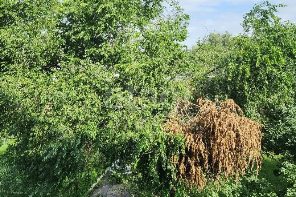 квартира г Омск ул Декабристов 143 Омский район фото 4