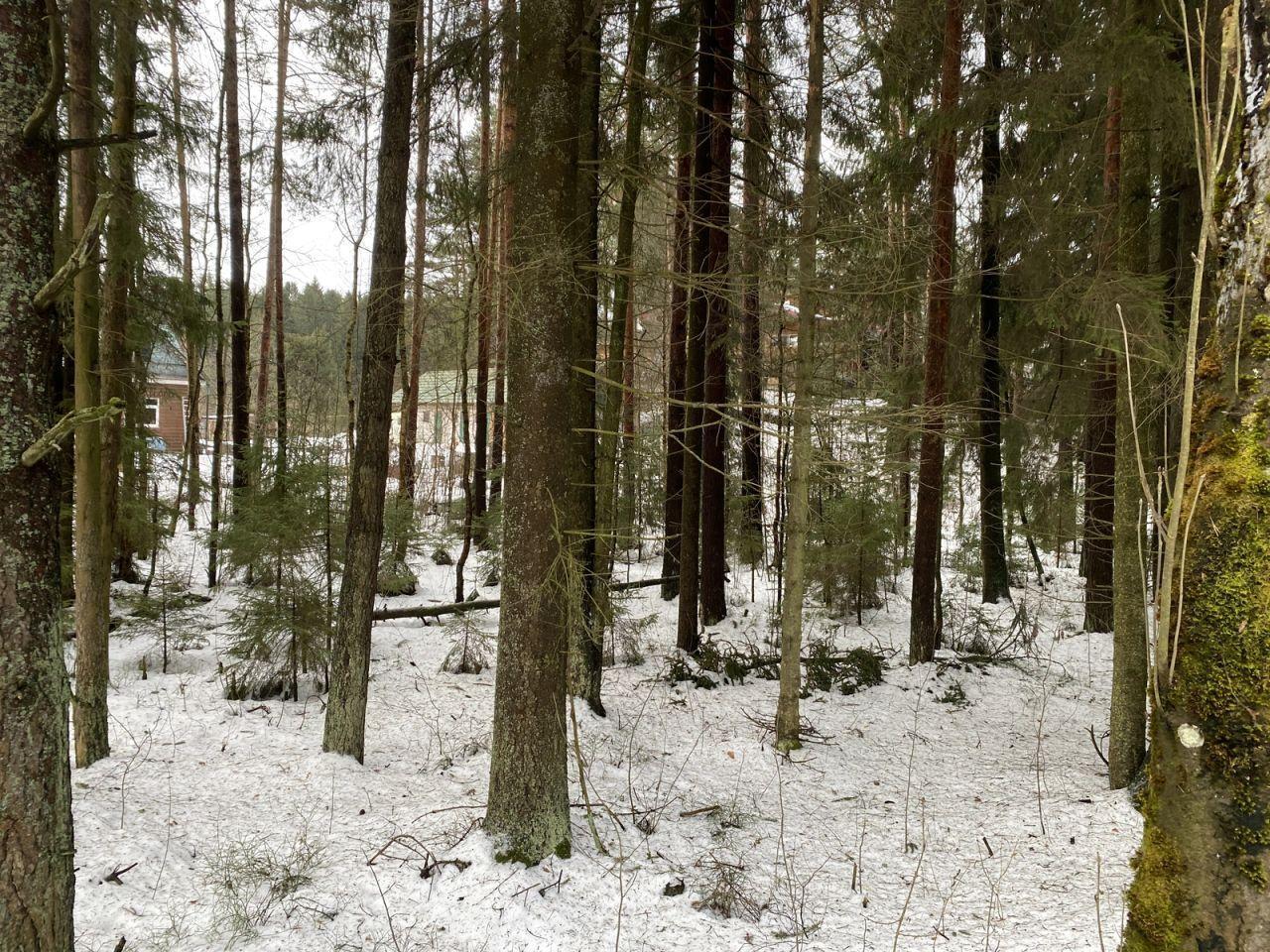 земля р-н Всеволожский Токсовское городское поселение, Токсово городской поселок, Парнас, ул. Кольцевая, 8Б фото 1