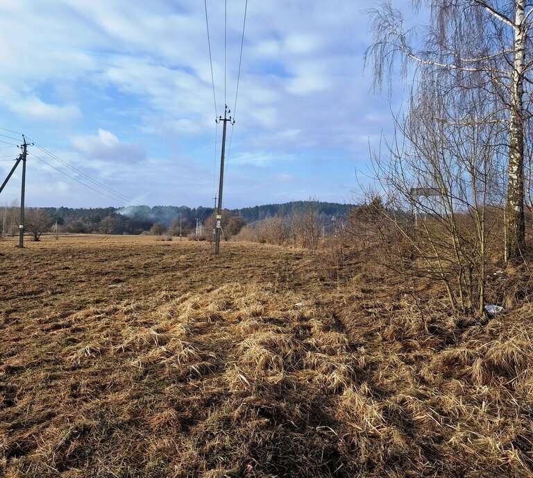 земля р-н Боровский г Боровск мкр Рябушки ул Лесная городское поселение Боровск фото 1