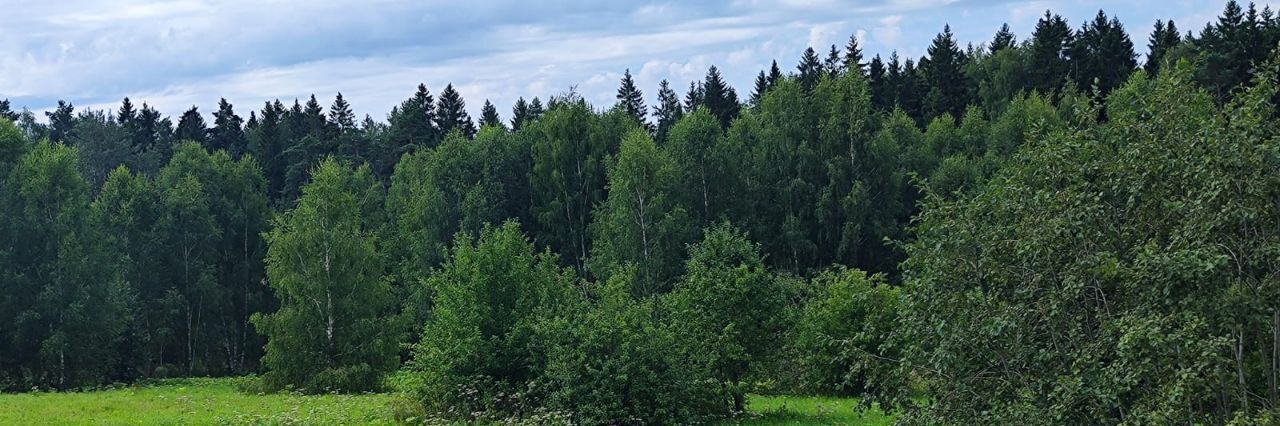 земля городской округ Солнечногорск д Мостки фото 2