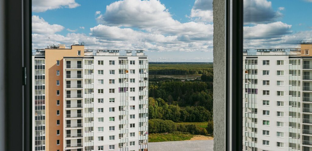 квартира г Санкт-Петербург метро Девяткино р-н Красногвардейский ЖК «Цветной город» муниципальный округ Полюстрово, жилой комплекс Цветной Город, Ленинградская область фото 4