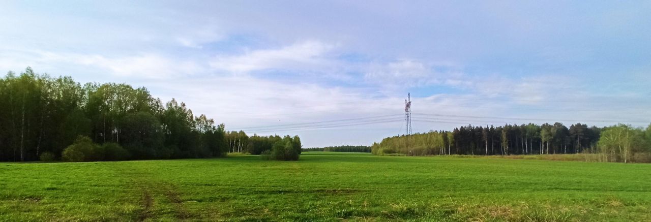 земля городской округ Сергиево-Посадский д Горюшка 2 фото 6