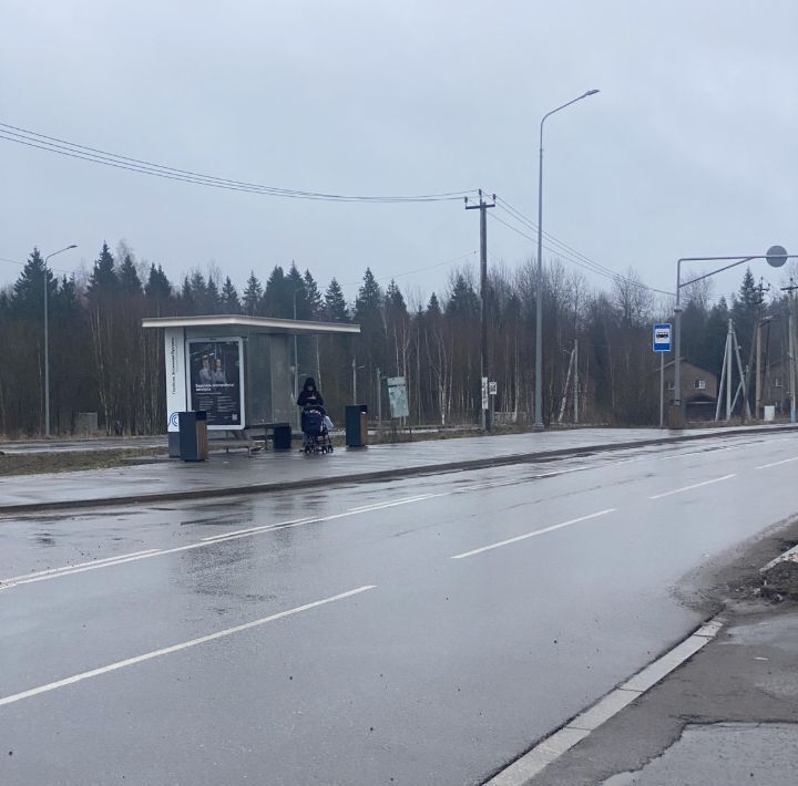 земля г Москва п Новофедоровское д Архангельское ул Белоусовская ТиНАО фото 6