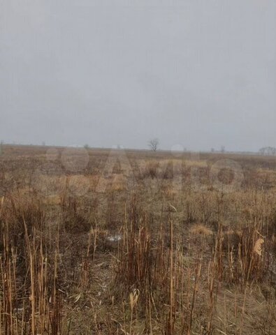 земля р-н Советский ул Словацкая 38 фото