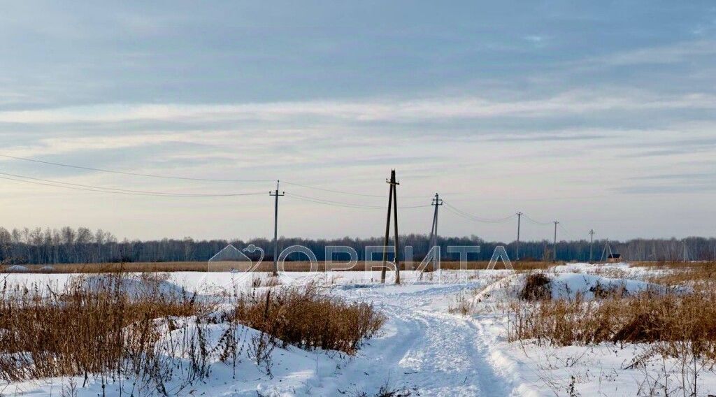 земля р-н Тюменский с Горьковка ул Сибирская Горьковское сельское поселение фото 2