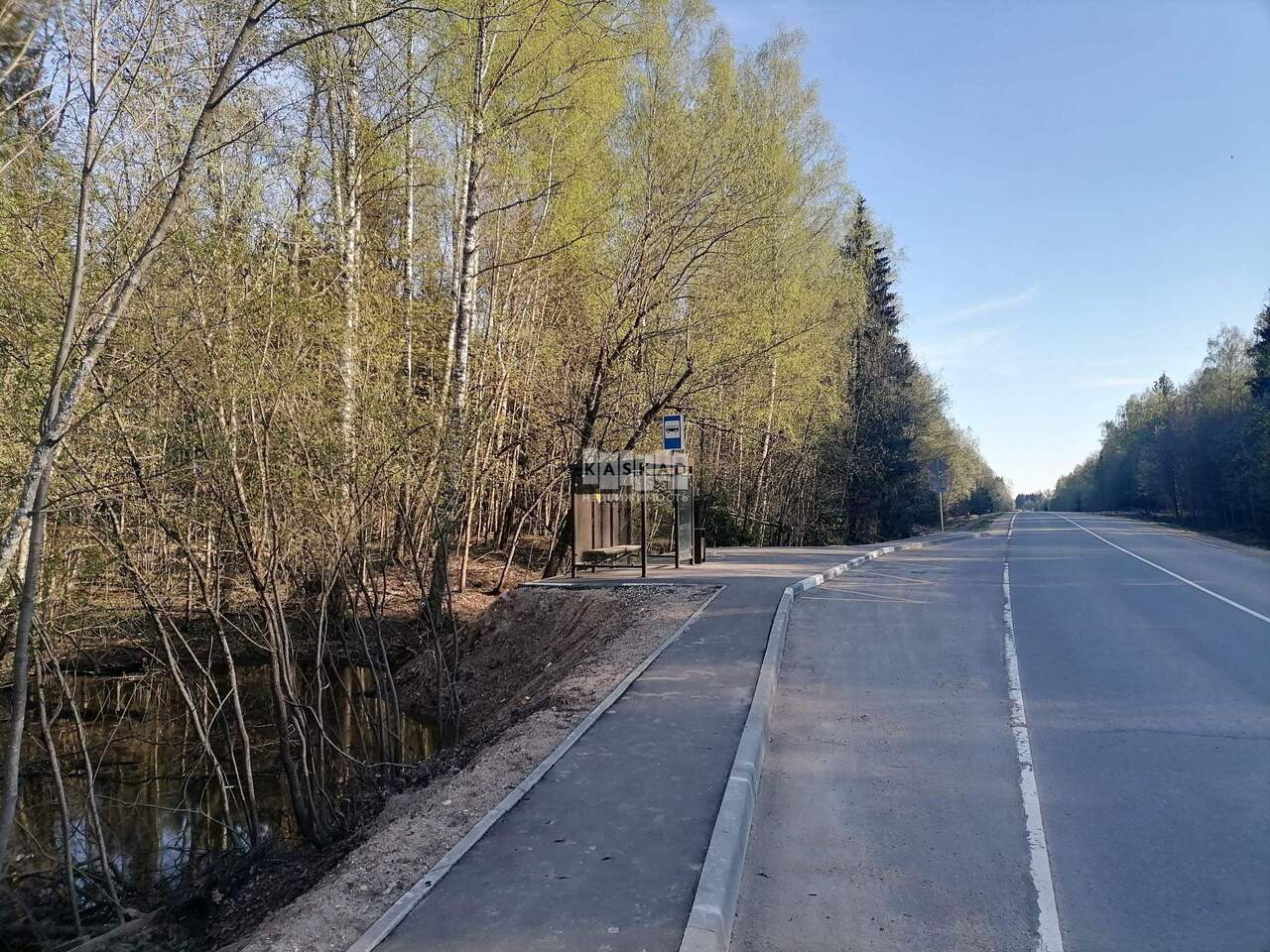 дом городской округ Дмитровский д Селевкино Дмитров г, Лесное НП садовое товарищество, Дмитровское шоссе фото 5