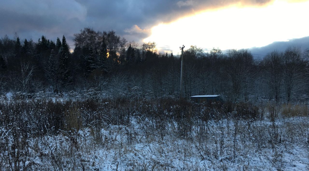 земля городской округ Пушкинский д Раково фото 2