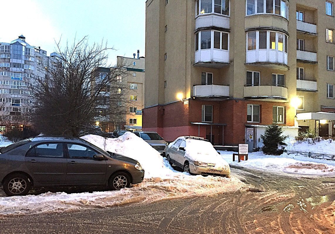 свободного назначения г Санкт-Петербург метро Проспект Просвещения ул Руднева 22к/1 округ № 15 фото 2