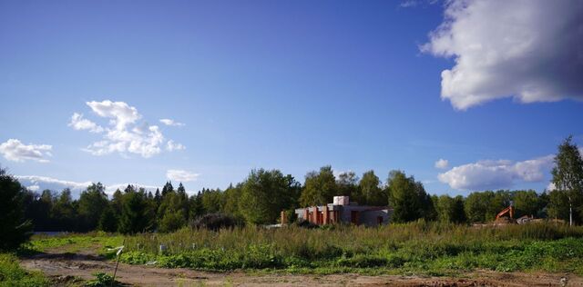 г Истра ул Лесная Мастерград кп фото