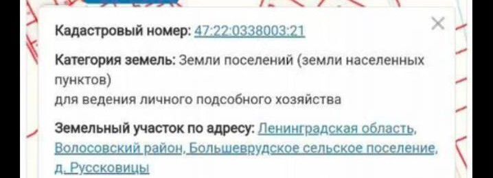 земля р-н Волосовский д Руссковицы Таллинское шоссе, 57 км, Большеврудское сельское поселение, Волосово фото 2